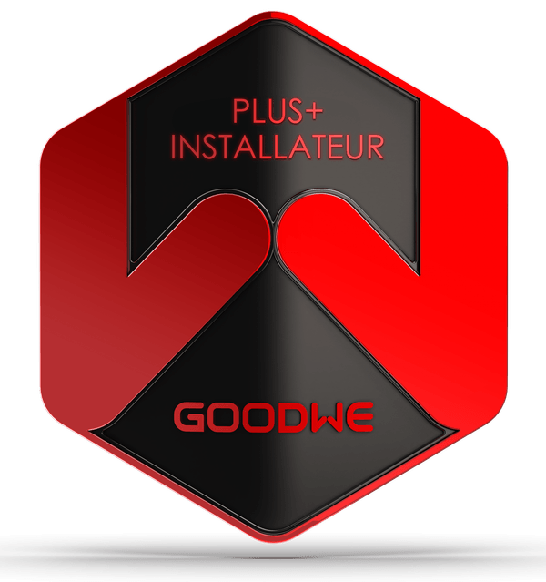 GoodWe PLUS+ Installateur